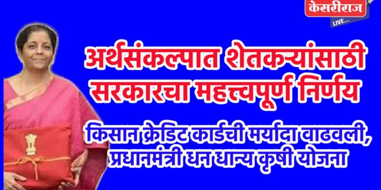 अर्थसंकल्पात शेतकऱ्यांसाठी सरकारचा महत्त्वपूर्ण निर्णय
