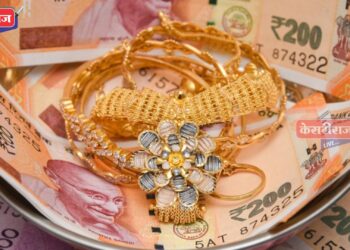 दागिने पॉलिश करण्याचा लोभ, वृद्ध महिला ३२ हजारांच्या दागिन्यांना मुकली !