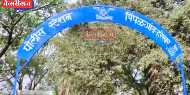 बैलजोडीची चोरी करणाऱ्या चौघांना अटक, दोघांचा शोध सुरू