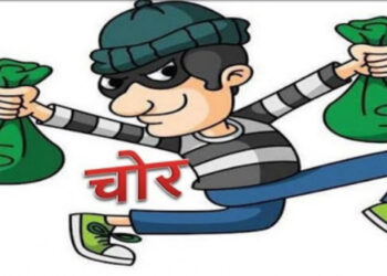 वीजपुरवठा खंडित करून चोरट्यांनी लांबवला साडेआठ लाखांचा पापड मसाला, घटना सीसीटीव्ही कॅमेरात कैद !