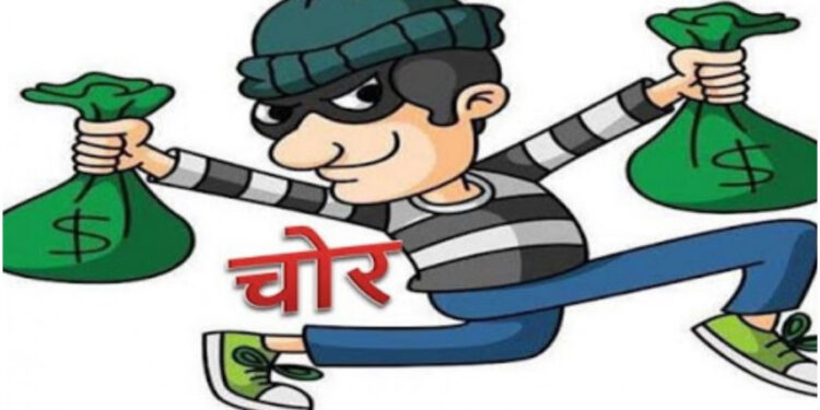 वीजपुरवठा खंडित करून चोरट्यांनी लांबवला साडेआठ लाखांचा पापड मसाला, घटना सीसीटीव्ही कॅमेरात कैद !