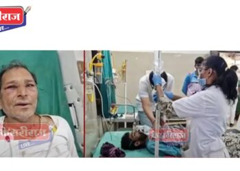 शेतात काम करणाऱ्या शेतकऱ्यांवर मधमाश्यांचा हल्ला, ५ जखमी