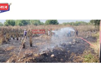 अमळनेर तालुक्यात ३ ठिकाणी आगी लागून गव्हासह झाडे जळाली