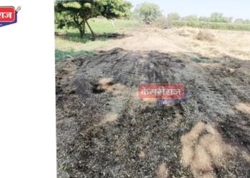 शिवार रस्ते मोकळे करण्याची मोहीम: अमळनेर तालुक्यात दहा रस्ते खुले