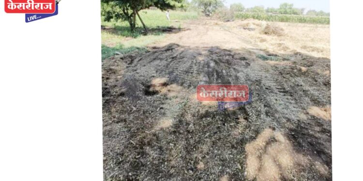 शिवार रस्ते मोकळे करण्याची मोहीम: अमळनेर तालुक्यात दहा रस्ते खुले