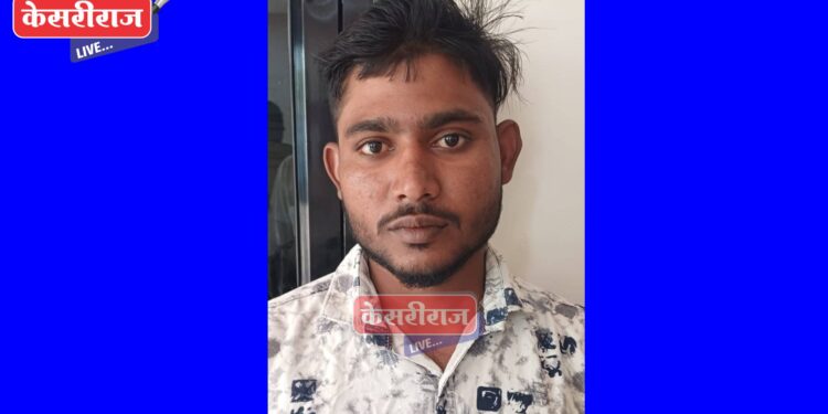 जैन व्हॅलीतून सोलर केबल चोरणारा चौरटा जेरबंद