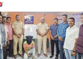 नेरी नाका परिसरात धावत्या रिक्षात आढळली काडतूस भरलेली देशी लोखंडी पिस्टल !