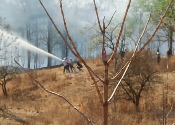 उत्तर महाराष्ट्र विद्यापीठाच्या परिसरात आग, ४ अग्निशमन बंबाना पाचारण