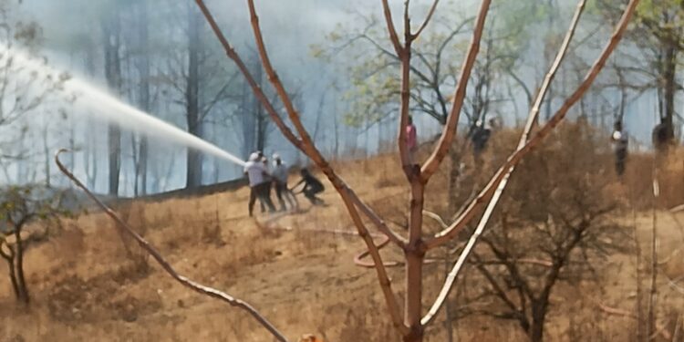 उत्तर महाराष्ट्र विद्यापीठाच्या परिसरात आग, ४ अग्निशमन बंबाना पाचारण