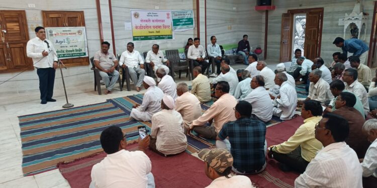 पनामा रोग नियंत्रणासाठी बुरशीनाशकांचा वापर करावा : वनस्पतीरोग शास्त्रज्ञांची माहिती  