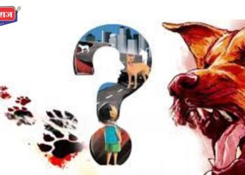 धक्कादायक : झोळीतल्या बाळाला कुत्र्यांनी ओढत नेत घेतले चावे, गंभीर जखमी झाल्याने मृत्यू !