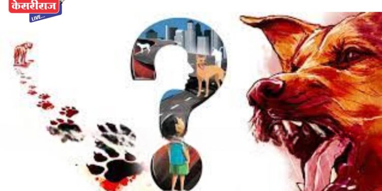 धक्कादायक : झोळीतल्या बाळाला कुत्र्यांनी ओढत नेत घेतले चावे, गंभीर जखमी झाल्याने मृत्यू !