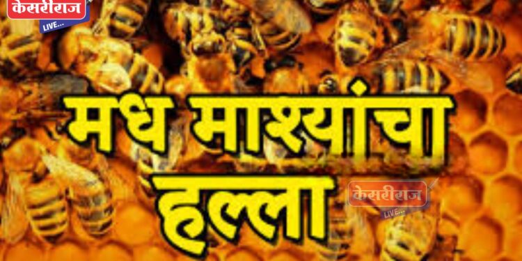 रायसोनी महाविद्यालयात मधमाशांचा विद्यार्थ्यांसह शिक्षकांवर हल्ला, ८ जण जखमी