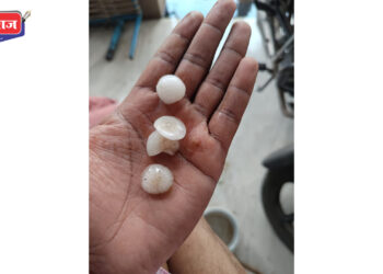 रावेर तालुक्यात अवकाळी पावसामुळं केळीबागांच मोठ्या प्रमाणावर नुकसान