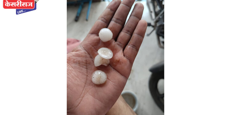 रावेर तालुक्यात अवकाळी पावसामुळं केळीबागांच मोठ्या प्रमाणावर नुकसान