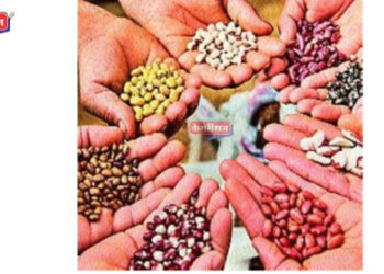 कृषी निविष्ठांच्या गुणवत्ताबाबत तक्रार निवारणासाठी कक्ष स्थापन