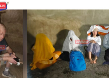 मधमाश्यांच्या हल्ल्यात विदेशी महिला पर्यटक जखमी