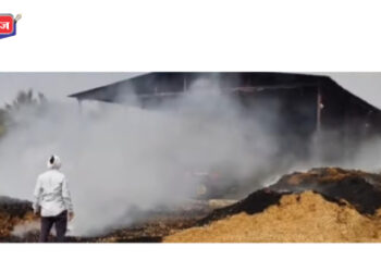 लाकडाच्या कंपनीला भीषण आग, सुमारे १० लाखांचे नुकसान