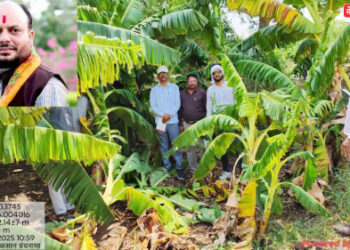 जिल्ह्यात केळी व मका पिकांचे मोठे नुकसान : पालकमंत्र्यांनी दिले पंचनाम्याचे निर्देश