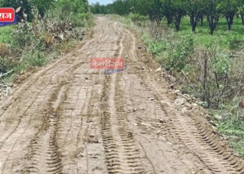 शेतकऱ्यांच्या तक्रारीची दखल, शेतरस्ता झाला खुला