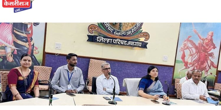 रासायनिक खते थांबवा, शेतकऱ्यांनी सेंद्रिय शेतीकडे वळावे : सीईओ मीनल करनवाल