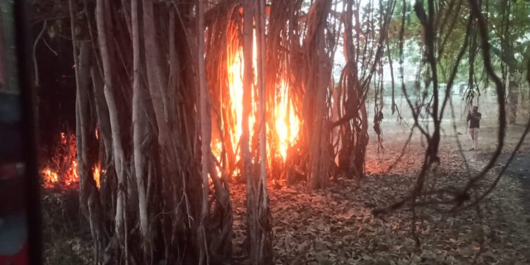 दिवसभरात लागल्या ६ आगी, तत्काळ पोहोचत जळगाव अग्निशमन दलाची कर्तव्यपूर्ती !