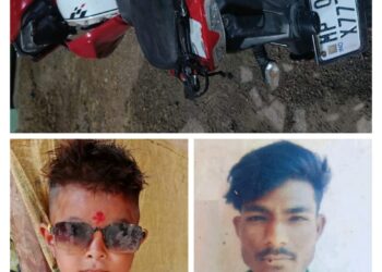 भरधाव मालवाहू वाहनाच्या धडकेत दुचाकीवरील पितापुत्र ठार, आई, मुलगा जखमी