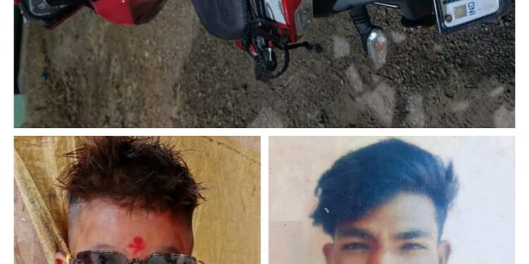 भरधाव मालवाहू वाहनाच्या धडकेत दुचाकीवरील पितापुत्र ठार, आई, मुलगा जखमी