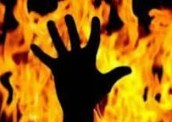 शेतात अंगावर पेट्रोल टाकून जाळून घेतलेल्या शेतकऱ्याचा उपचारादरम्यान मृत्यू