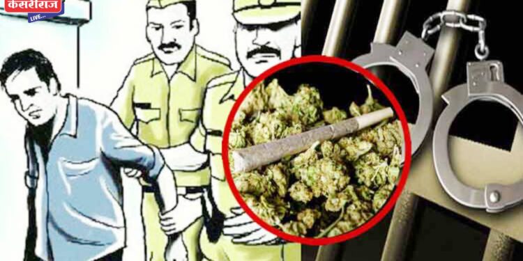 मध्य प्रदेशातील तिघांकडून १२ किलो गांजा जप्त