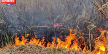 आगीमध्ये चाऱ्याच्या ६०० पेंढ्या जळून खाक