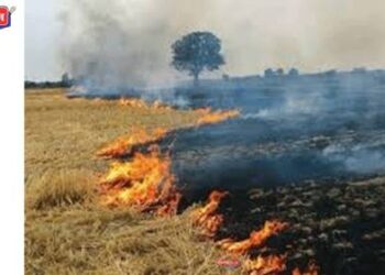 दोन्ही शेतात आग लागून ६ लाखांचे नुकसान, शेतकऱ्यावर संकट