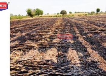 भीषण आगीत ४ शेतकऱ्यांचे १४ बिघे शेतातील पीक जळून खाक