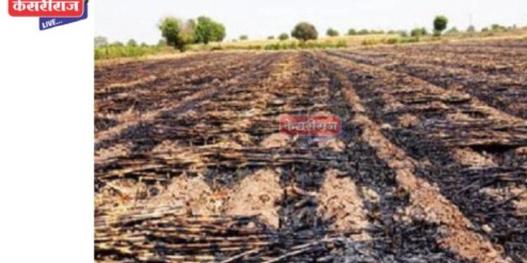 भीषण आगीत ४ शेतकऱ्यांचे १४ बिघे शेतातील पीक जळून खाक