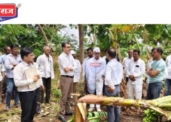 विहिरी मंजुरीसाठी पैसे घेतल्याप्रकरणी ३ कर्मचारी कार्यमुक्त; ७ तांत्रिक सहाय्यक अन् बीडीओंना नोटिसा