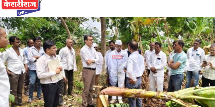 विहिरी मंजुरीसाठी पैसे घेतल्याप्रकरणी ३ कर्मचारी कार्यमुक्त; ७ तांत्रिक सहाय्यक अन् बीडीओंना नोटिसा