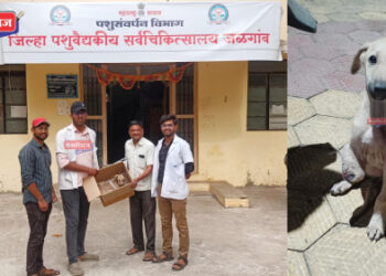 भूतदया : “जीएमसी”च्या वसतीगृहातील विद्यार्थ्यांनी अपघातग्रस्त कुत्र्याला दिले जीवदान !