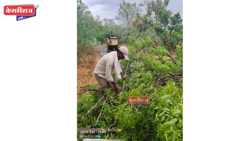 खान्देशात अवकाळी वादळी पावसाने २६६६ खांब, ६५ रोहित्र सांगाडे जमीनदोस्त