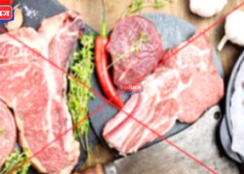 अवैध मांस विक्री केल्याप्रकरणी दाम्पत्यावर गुन्हा दाखल