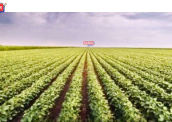 खरीप हंगाम अनुषंगाने नियंत्रण कक्ष कार्यान्वित