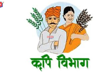 अनियमिततेसह नियमांचे उल्लंघन : मान्सूनपूर्वीच ७ कृषी परवाने निलंबित !