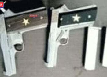 तरुणाकडे आढळल्या २ गावठी पिस्टल, निंभोरा पोलिसांची कारवाई