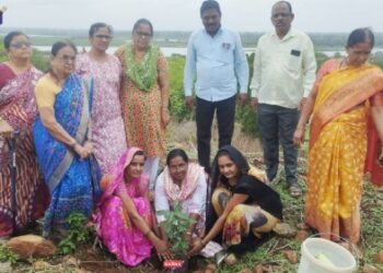 वुमेन्स ॲंड चाईल्ड केअर   प्लस संस्थे द्वारे   मानेगावला वृक्षारोपण संपन्न