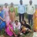 वुमेन्स ॲंड चाईल्ड केअर   प्लस संस्थे द्वारे   मानेगावला वृक्षारोपण संपन्न