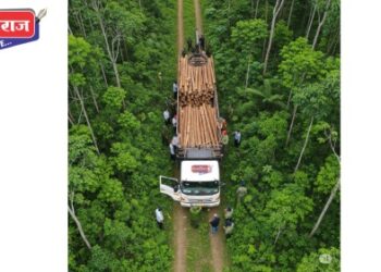 विनापरवाना लाकडाची वाहतूक, ट्रकसह मुद्देमाल जप्त