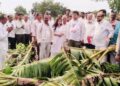 वादळी पावसामुळे झालेल्या नुकसानीची पालकमंत्र्यांनी केली पाहणी