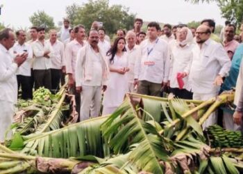 वादळी पावसामुळे झालेल्या नुकसानीची पालकमंत्र्यांनी केली पाहणी