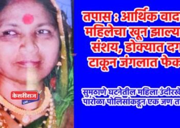तपास : आर्थिक वादातून महिलेचा खून झाल्याचा संशय, डोक्यात दगड टाकून जंगलात फेकले !