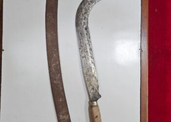 तलवार, कोयता बाळगणाऱ्या तरुणाला एलसीबीकडून अटक