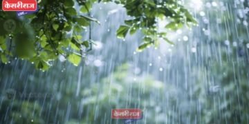 जिल्ह्यात जूनमध्ये ८८.६ मिलिमीटर पाऊस, अनेकांच्या पेरण्या बाकी !
